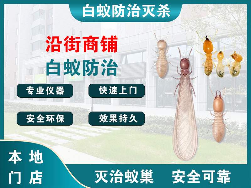 富阳沿街商铺白蚁防治