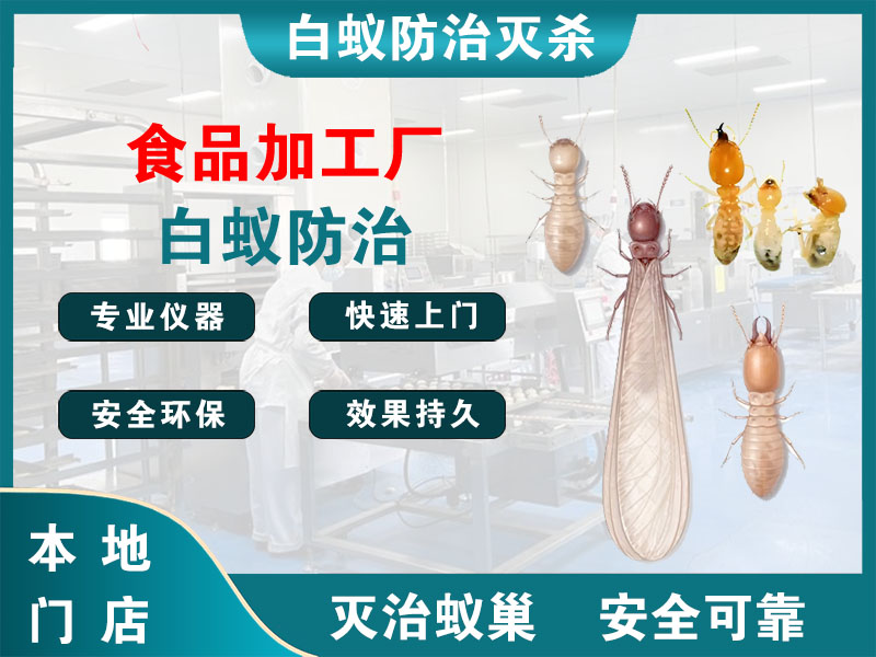 富阳食品加工厂白蚁防治