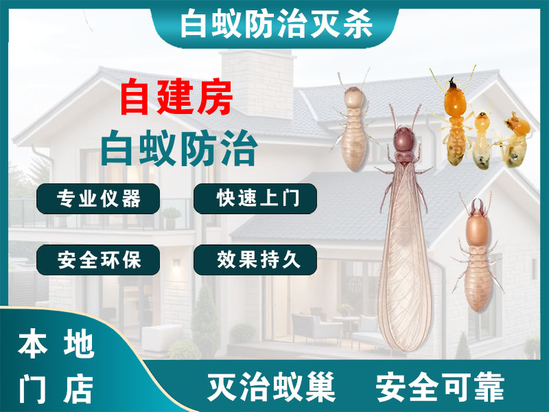 富阳自建房白蚁防治