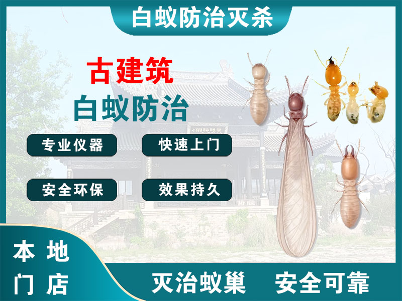 富阳古建筑白蚁防治