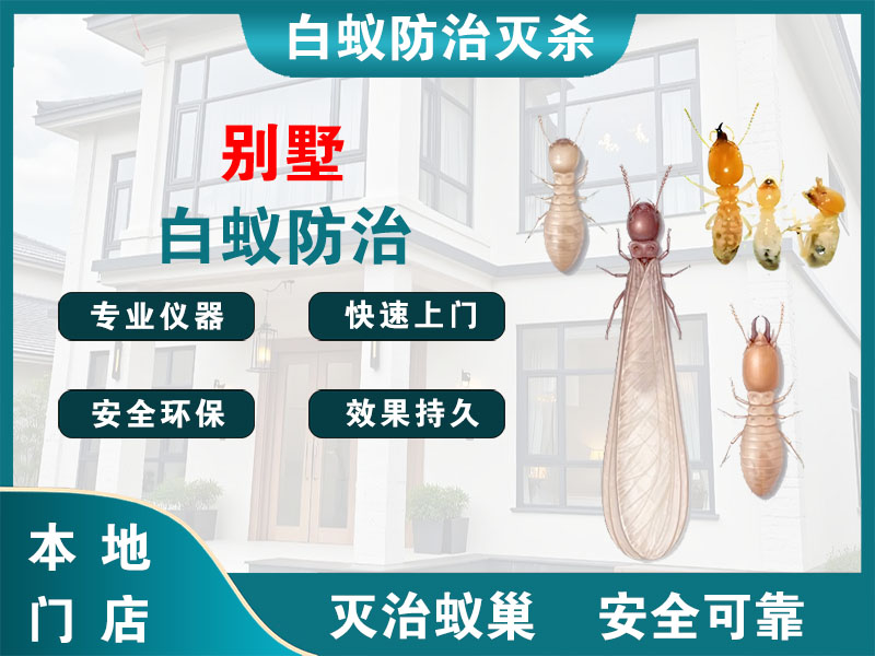 富阳别墅白蚁防治